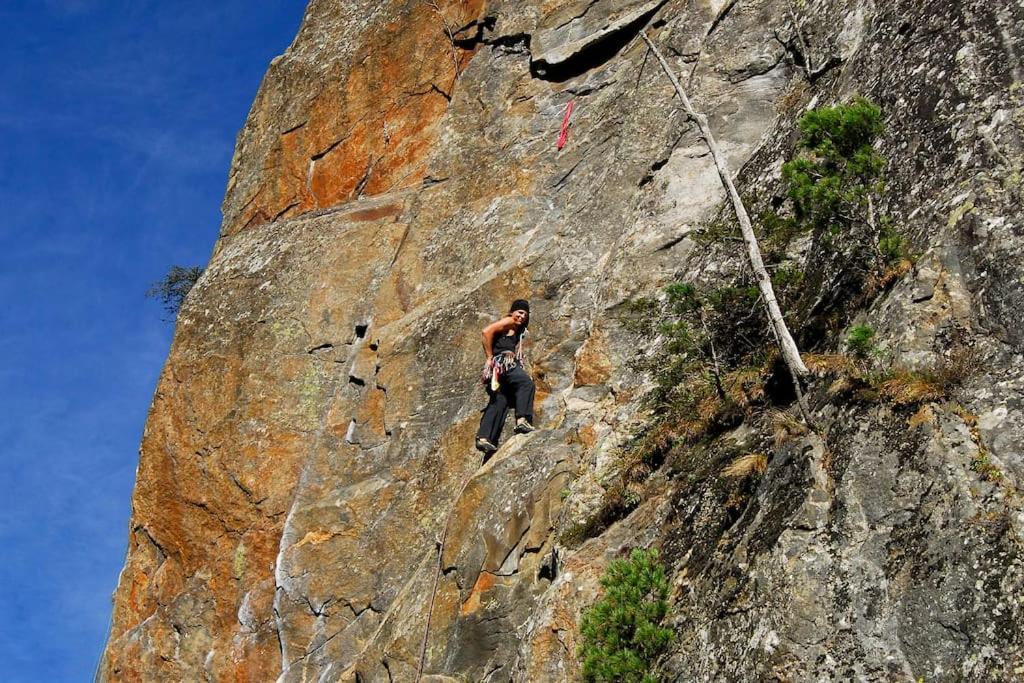 Alpenrose Apartman Ramsau im Zillertal Kültér fotó